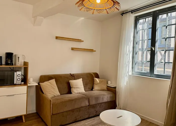 Elisa Contemporain Au Coeur De La