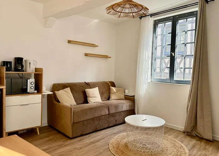 Elisa Contemporain Au Coeur De La *